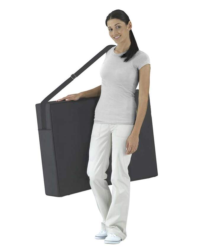 Master Fairlane carry case