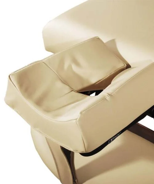 Master SpaMaster Salon headrest