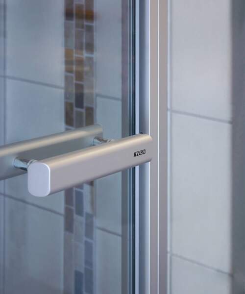 Tylo Steam Door detail