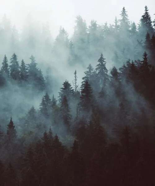 Harvia Nova LUX Scenic Film Mist