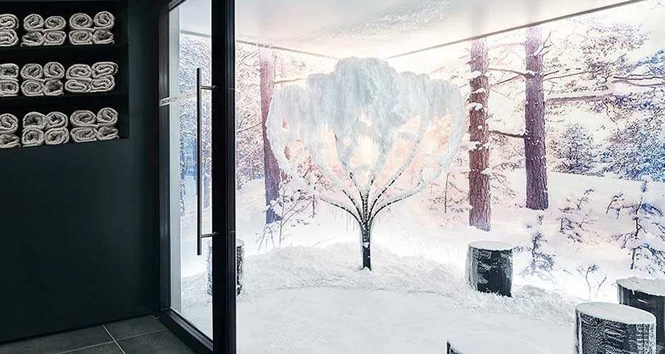 Bespoke indoor snow room